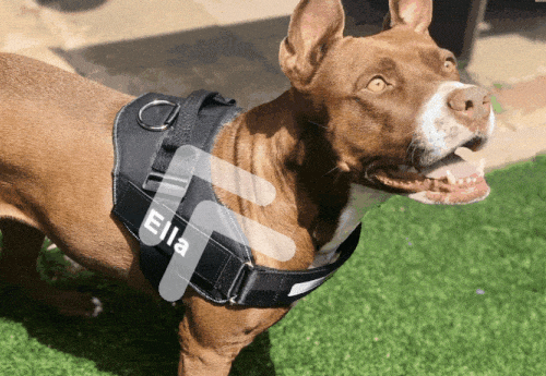 Helps Prevent Pulling