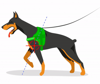 Dog wearing safe and comfortable GripHarness